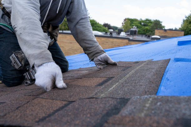 Best Green or Eco-Friendly Roofing Solutions  in New Sarpy, LA